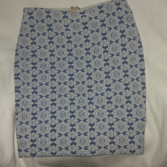 Chelsea & Violet Dresses & Skirts - NWT Chelsea and Violet skirt